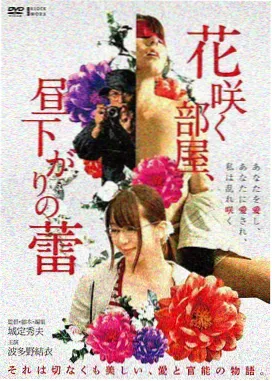 老胶片修复计划电影合集封面